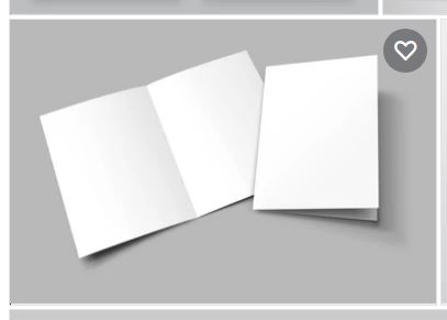 Daisy on the Ohoopee